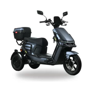 City Go Rebel Elektro-Dreirad in Grau matt mit Topcase
